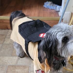 Ghostbusters Dog Costume with Backpack